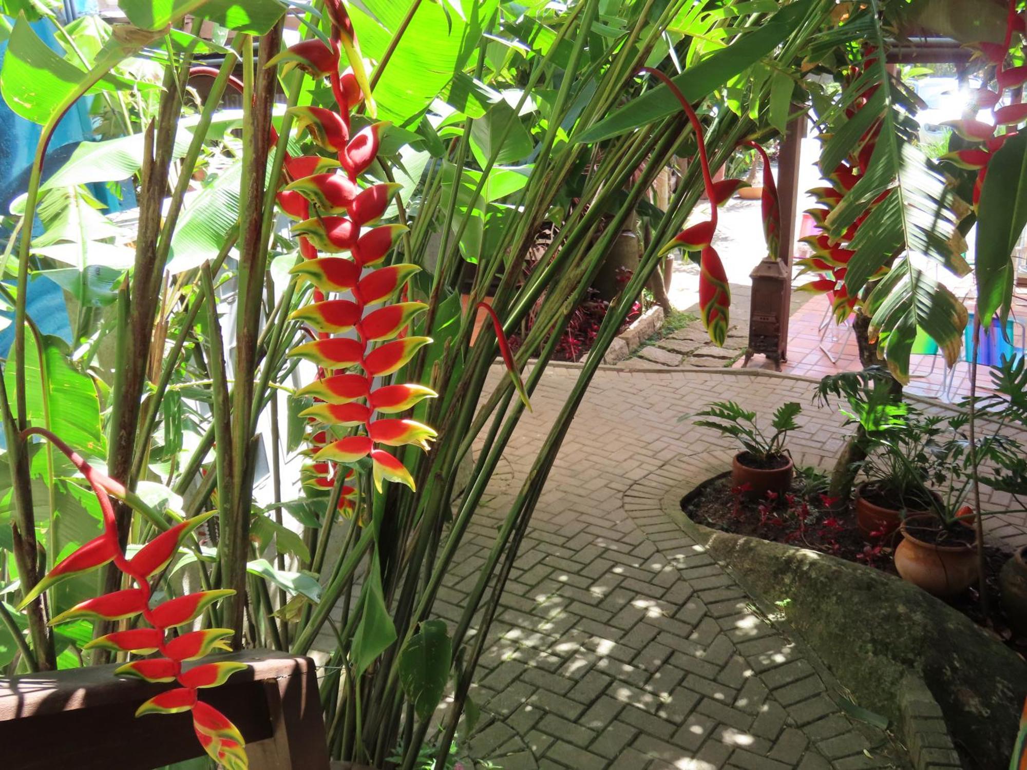 Patio Floriparadise Florianopolis Ngoại thất bức ảnh